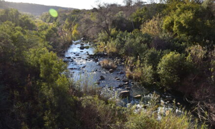 Vaalkop (RSA)