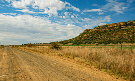 Roodekop (RSA)