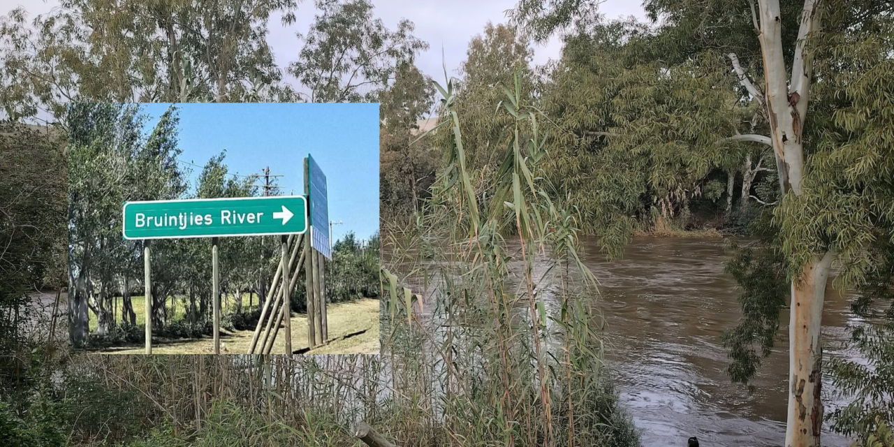 Bruintjesrivier 203 (RSA)